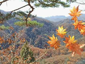 疫情高峰时间表,疫情高峰时间表图片